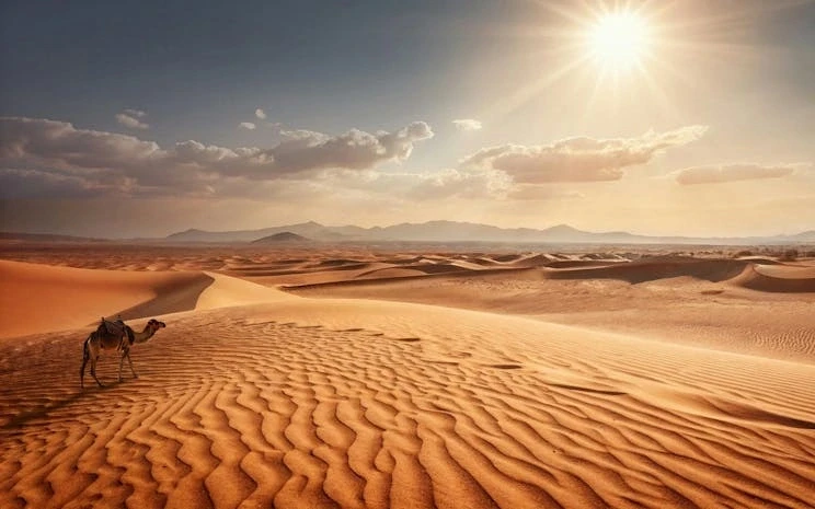 Đợt nắng nóng lịch sử khiến nước Pháp có lúc nóng hơn cả sa mạc Sahara Đợt nắng nóng lịch sử khiến nước Pháp có lúc nóng hơn cả sa mạc Sahara