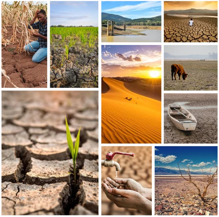 El Niño có thể tái xuất cuối năm 2026: Trái đất trước nguy cơ nóng kỷ lục El Niño có thể tái xuất cuối năm 2026: Trái đất trước nguy cơ nóng kỷ lục