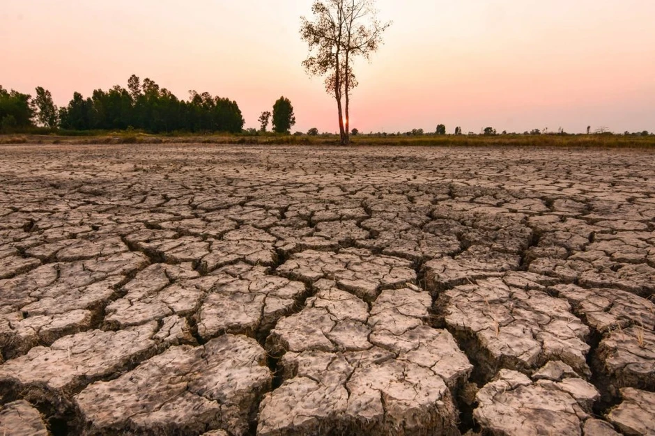 El Nino không phải “thủ phạm" đứng sau các đợt nắng nóng kỷ lục El Nino không phải “thủ phạm" đứng sau các đợt nắng nóng kỷ lục