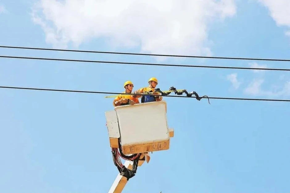 Giải mã loài “rắn lạ” trườn trên đường dây điện tại Trung Quốc Giải mã loài “rắn lạ” trườn trên đường dây điện tại Trung Quốc