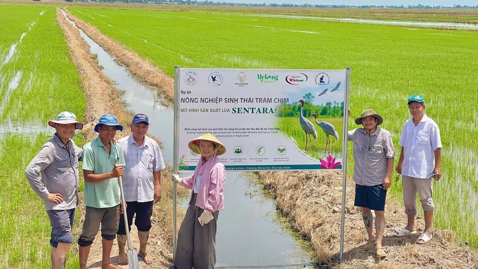 Khi đất được nuôi dưỡng, người trồng lúa đổi cách làm Khi đất được nuôi dưỡng, người trồng lúa đổi cách làm