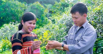 Kho báu 4.000 loài cây dược liệu Việt trước cơ hội vươn ra thế giới