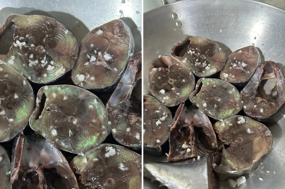 Màu sắc óng ánh xuất hiện trên thịt và cá tươi có phải là điều bất thường? Màu sắc óng ánh xuất hiện trên thịt và cá tươi có phải là điều bất thường?