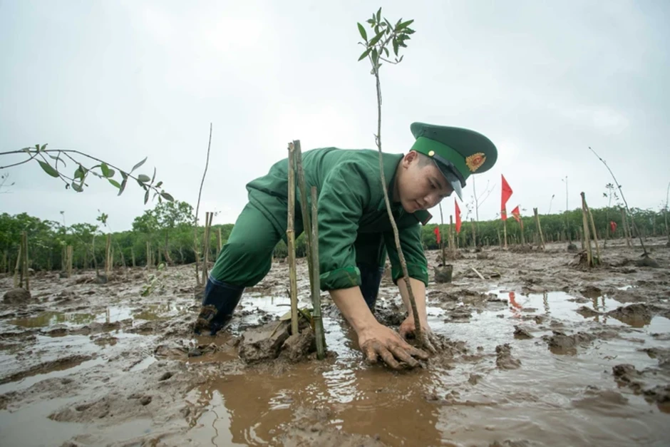 Mỗi cánh rừng được gây dựng là thêm một lớp phòng tuyến tự nhiên trước thiên tai Mỗi cánh rừng được gây dựng là thêm một lớp phòng tuyến tự nhiên trước thiên tai