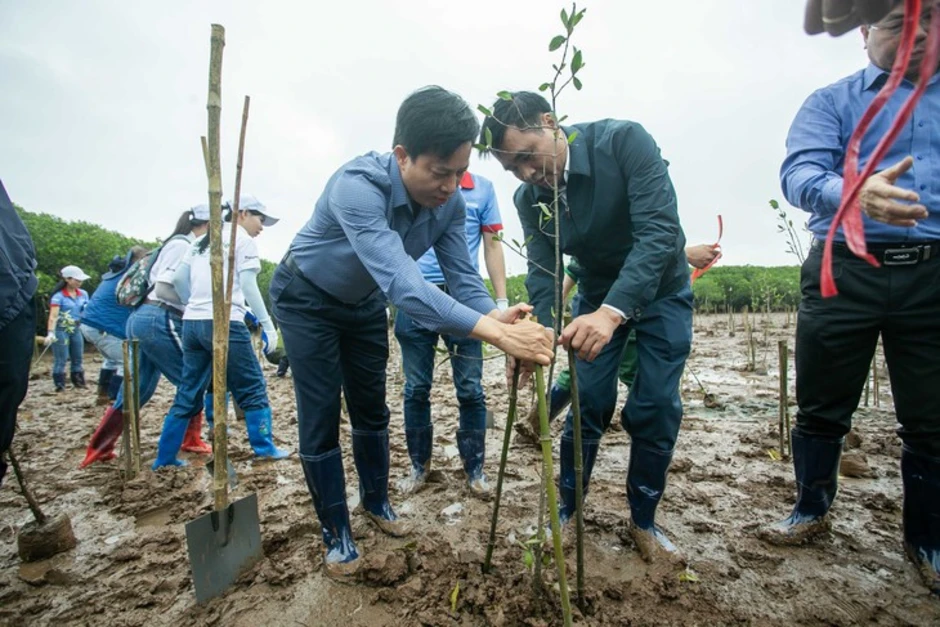 Mỗi cánh rừng được gây dựng là thêm một lớp phòng tuyến tự nhiên trước thiên tai Mỗi cánh rừng được gây dựng là thêm một lớp phòng tuyến tự nhiên trước thiên tai
