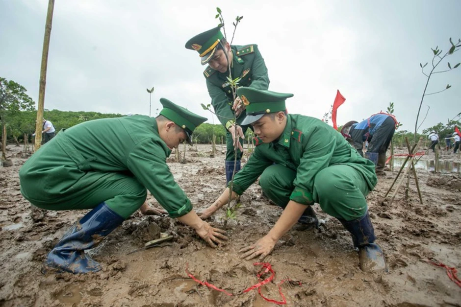 Mỗi cánh rừng được gây dựng là thêm một lớp phòng tuyến tự nhiên trước thiên tai Mỗi cánh rừng được gây dựng là thêm một lớp phòng tuyến tự nhiên trước thiên tai