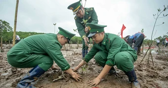 Mỗi cánh rừng được gây dựng là thêm một lớp phòng tuyến tự nhiên trước thiên tai