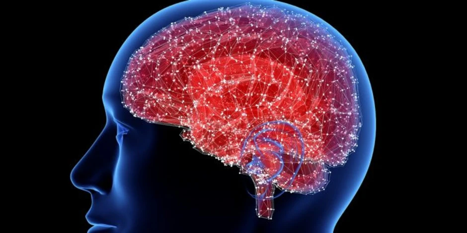 Nấm Nam Cực mở ra hy vọng mới về thuốc điều trị bệnh Alzheimer