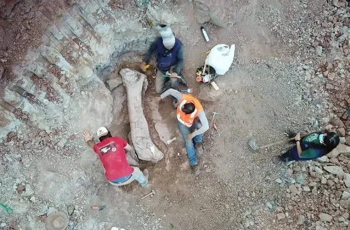 Quái vật dài 20 m "trỗi dậy" giữa công trình đường sắt Quái vật dài 20 m "trỗi dậy" giữa công trình đường sắt