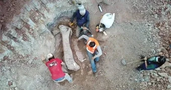 Quái vật dài 20 m "trỗi dậy" giữa công trình đường sắt