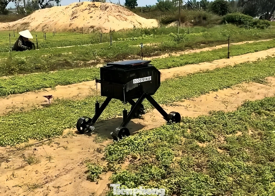 Sinh viên Đà Nẵng sáng tạo robot, AI vì cộng đồng Sinh viên Đà Nẵng sáng tạo robot, AI vì cộng đồng