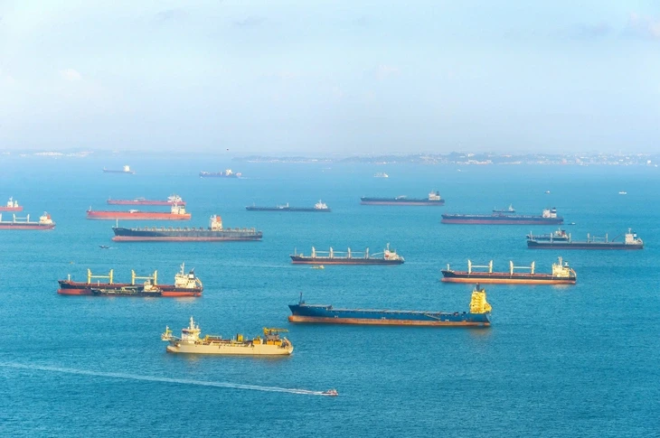 Tiếng ồn tàu thuyền khiến động vật biển căng thẳng, rối loạn hành vi Tiếng ồn tàu thuyền khiến động vật biển căng thẳng, rối loạn hành vi