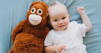 Vì sao con người không có đuôi như các loài động vật khác?