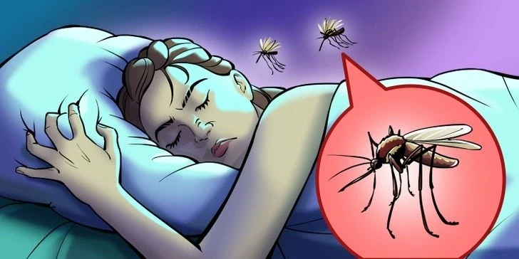 Vì sao muỗi cứ vo ve sát tai dù rất dễ bị con người phát hiện? Vì sao muỗi cứ vo ve sát tai dù rất dễ bị con người phát hiện?