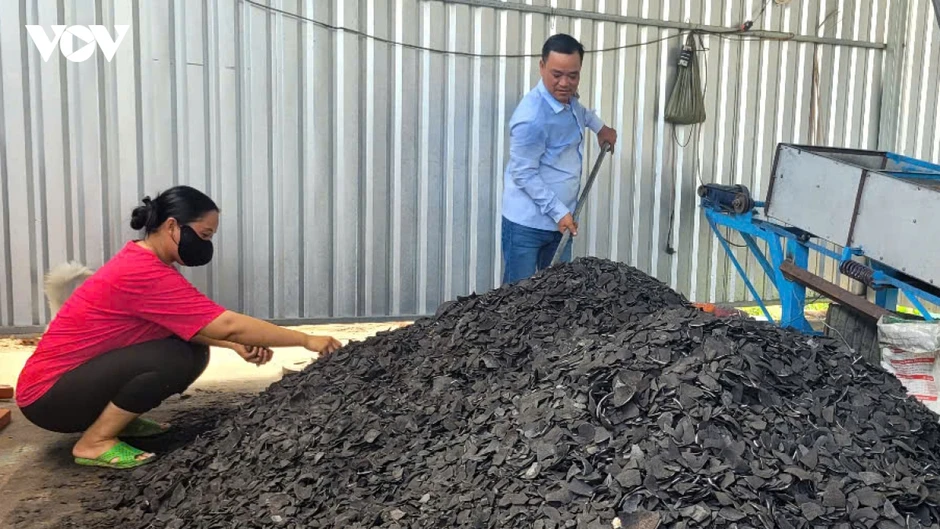 “Biến” gáo dừa thành sản phẩm xuất khẩu có giá trị “Biến” gáo dừa thành sản phẩm xuất khẩu có giá trị