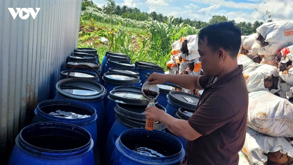 “Biến” gáo dừa thành sản phẩm xuất khẩu có giá trị “Biến” gáo dừa thành sản phẩm xuất khẩu có giá trị