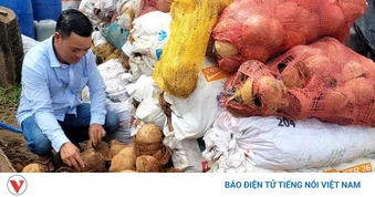 “Biến” gáo dừa thành sản phẩm xuất khẩu có giá trị