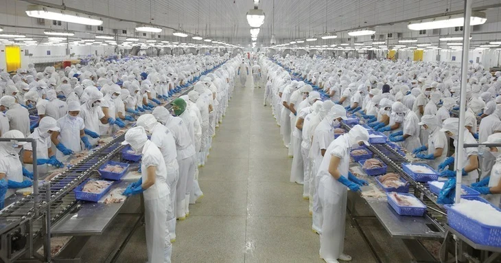 ‘Nữ hoàng cá tra’ Vĩnh Hoàn tạm lỗ gần 40% khi đầu tư cổ phiếu NLG, DXS ‘Nữ hoàng cá tra’ Vĩnh Hoàn tạm lỗ gần 40% khi đầu tư cổ phiếu NLG, DXS