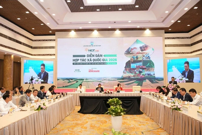 "Bắt tay" phát triển chuỗi giá trị bền vững "Bắt tay" phát triển chuỗi giá trị bền vững
