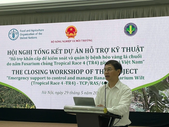 "Cứu" ngành chuối khỏi căn bệnh gây thất thoát hàng triệu USD mỗi năm "Cứu" ngành chuối khỏi căn bệnh gây thất thoát hàng triệu USD mỗi năm