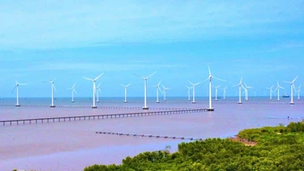 Anh hỗ trợ Việt Nam phát triển điện gió ngoài khơi - Báo TinVina
