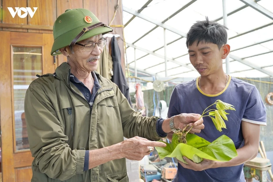Bí mật khiến cả làng người Xê Đăng thành tỷ phú Bí mật khiến cả làng người Xê Đăng thành tỷ phú