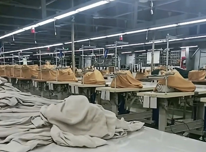 Bị nợ lương từ 6 tháng, người lao động có quyền yêu cầu áp dụng thủ tục phá sản doanh nghiệp Bị nợ lương từ 6 tháng, người lao động có quyền yêu cầu áp dụng thủ tục phá sản doanh nghiệp