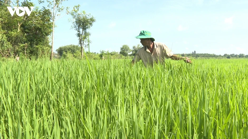 Bí quyết làm giàu của cặp vợ chồng người Châu Ro ở Lâm Đồng