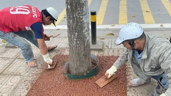 Biến phế thải xây dựng thành bêtông 'bọt biển' chống ngập cho Hà Nội - Báo TinVina