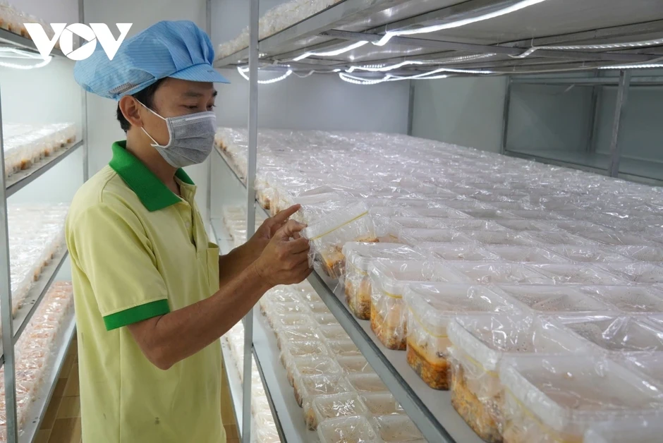 Bỏ phố về quê khởi nghiệp thành công từ cây nấm Bỏ phố về quê khởi nghiệp thành công từ cây nấm