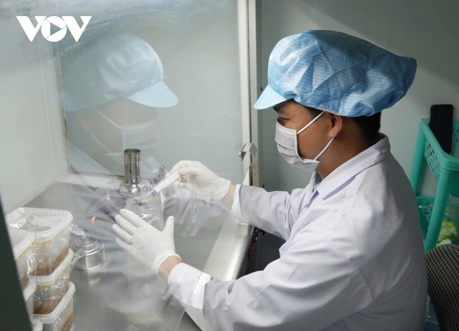 Bỏ phố về quê khởi nghiệp thành công từ cây nấm Bỏ phố về quê khởi nghiệp thành công từ cây nấm