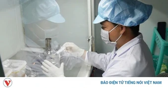 Bỏ phố về quê khởi nghiệp thành công từ cây nấm