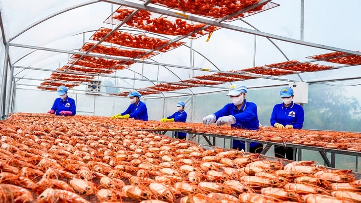 Cà Mau thực hiện ‘5 thông’ trong phát triển doanh nghiệp Cà Mau thực hiện ‘5 thông’ trong phát triển doanh nghiệp
