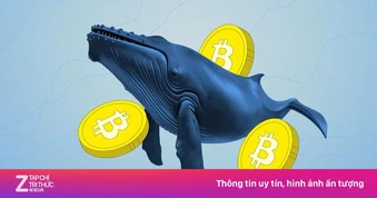 Các 'cá voi' đang rời Bitcoin