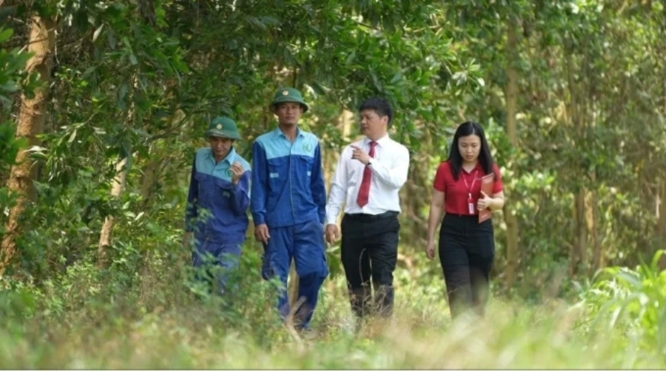 Cách Agribank mở rộng nguồn vốn cho các dự án xanh - Báo TinVina Cách Agribank mở rộng nguồn vốn cho các dự án xanh - Báo TinVina