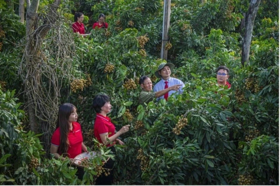 Cách Agribank mở rộng nguồn vốn cho các dự án xanh - Báo TinVina Cách Agribank mở rộng nguồn vốn cho các dự án xanh - Báo TinVina