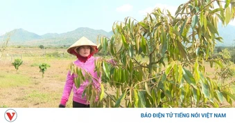 Cách phụ nữ DTTS Đông Giang đổi mới tư duy kinh tế, biến vốn vay thành cơ nghiệp