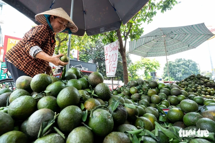 Cam sành, dưa hấu, thanh long, xoài... rớt giá thê thảm, điểm bán đổ thành đống