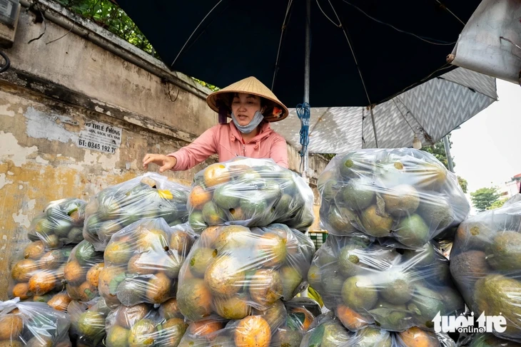 Cam sành, dưa hấu, thanh long, xoài... rớt giá thê thảm, điểm bán đổ thành đống
