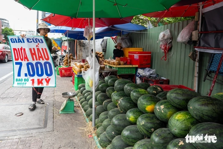 Cam sành, dưa hấu, thanh long, xoài... rớt giá thê thảm, điểm bán đổ thành đống