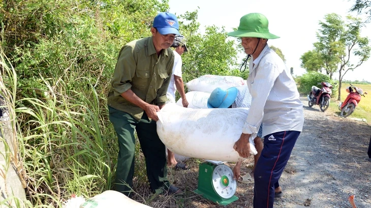 Cần giải pháp giảm 'giải cứu' nông sản Cần giải pháp giảm 'giải cứu' nông sản