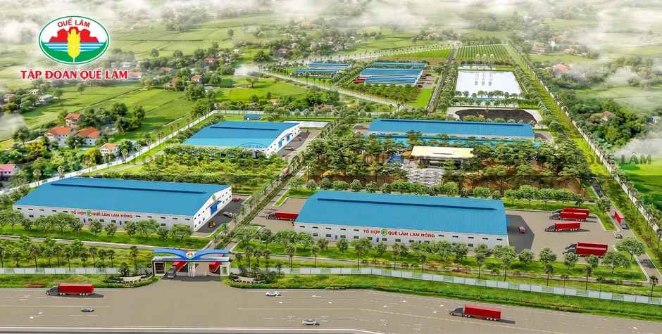 Chủ tịch U80 quê Hà Tĩnh xây tổ hợp nông nghiệp lớn bậc nhất Việt Nam: 5 nhà máy công suất 400.000 tấn/năm, nuôi cả ruồi lính đen Chủ tịch U80 quê Hà Tĩnh xây tổ hợp nông nghiệp lớn bậc nhất Việt Nam: 5 nhà máy công suất 400.000 tấn/năm, nuôi cả ruồi lính đen