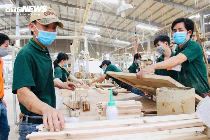 Chuyên gia: Nghị quyết 10 là bước chuyển tư duy sang công nghệ cao Chuyên gia: Nghị quyết 10 là bước chuyển tư duy sang công nghệ cao