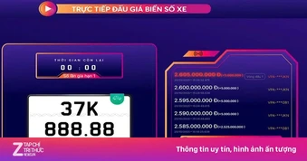 Chuyển nhượng biển số đẹp, tài sản số đóng thuế thế nào?