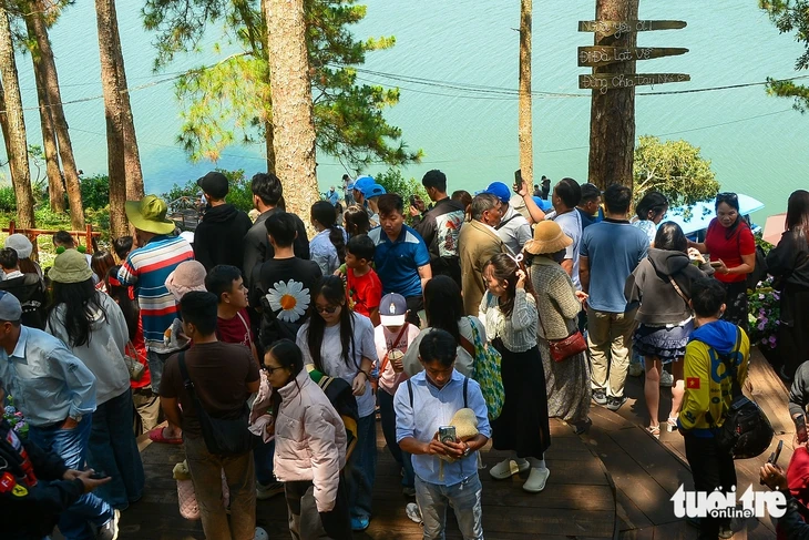 'Cô Long' Đà Lạt mệt phờ vì du khách xếp hàng dài giao lưu 'Cô Long' Đà Lạt mệt phờ vì du khách xếp hàng dài giao lưu