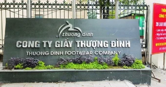 Công ty 6 tháng tuổi liên quan Vinaconex 'nhảy' vào Giày Thượng Đình