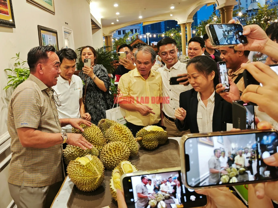 Công ty của bầu Đức tính trồng thêm 700 ha sầu riêng Công ty của bầu Đức tính trồng thêm 700 ha sầu riêng
