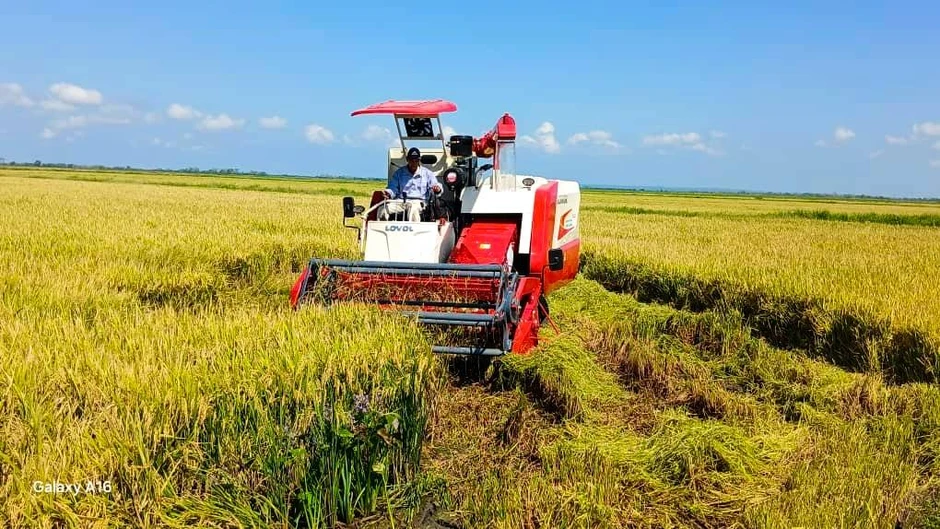 Cuba đón tin cực vui từ Việt Nam Cuba đón tin cực vui từ Việt Nam