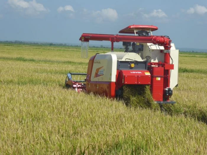 Cuba đón tin cực vui từ Việt Nam Cuba đón tin cực vui từ Việt Nam