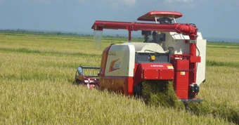 Cuba đón tin cực vui từ Việt Nam